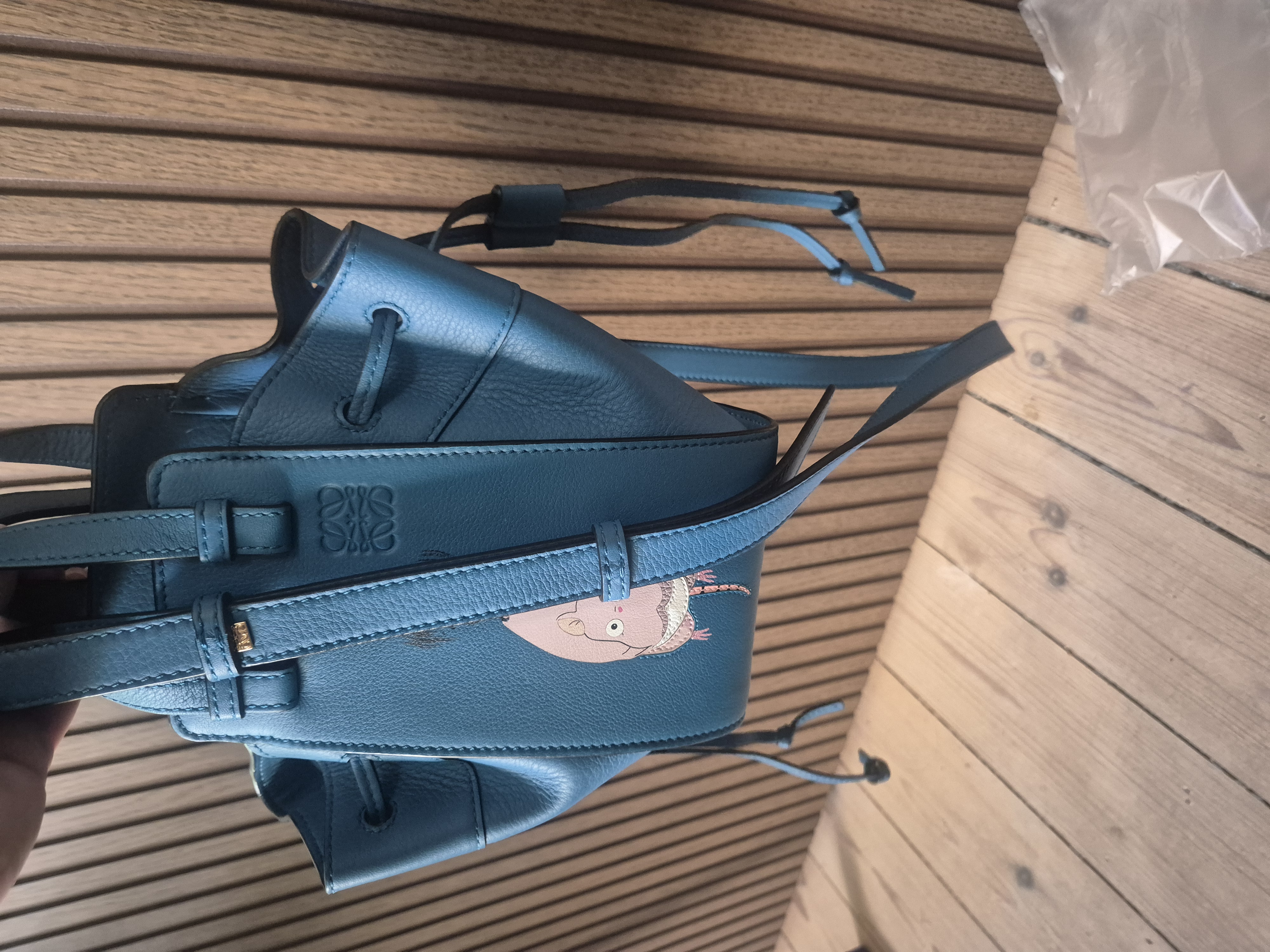 Bag with strap