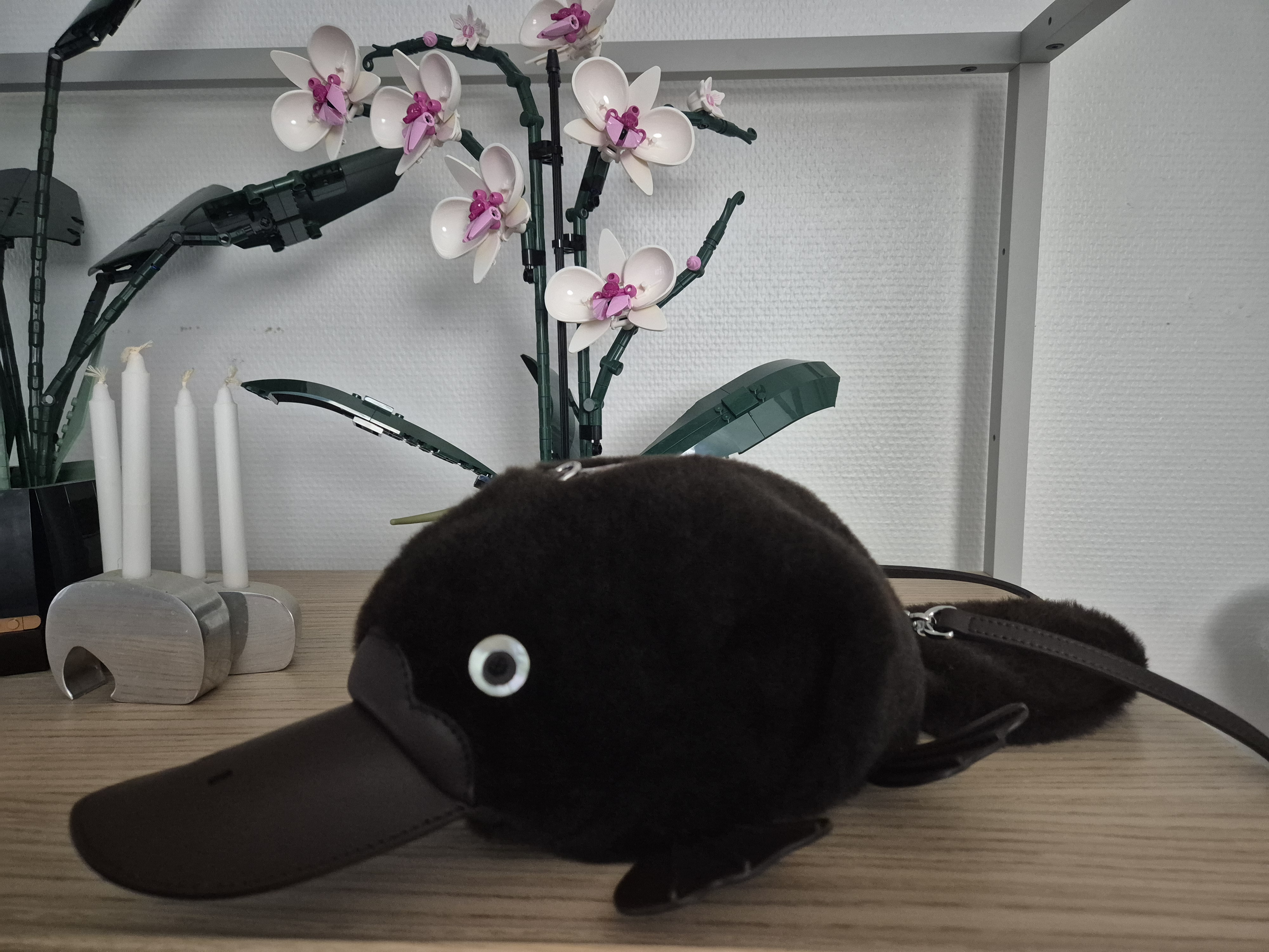 Handbag Care: How to Care for Shearling Bags